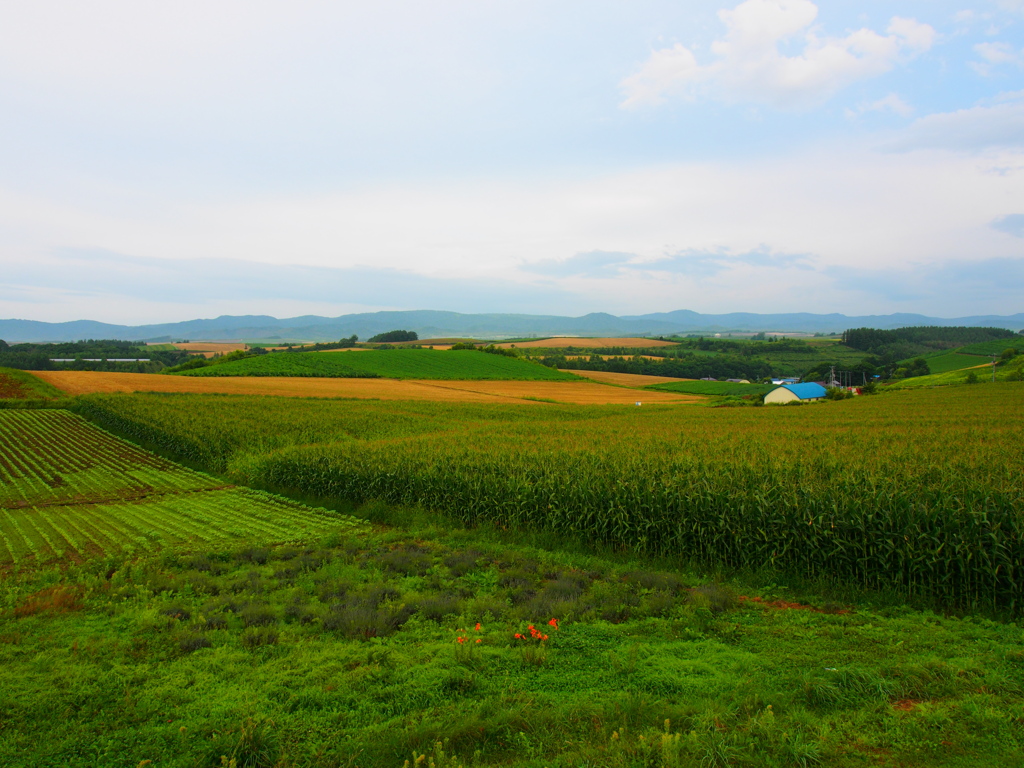 北海道　美瑛町