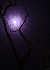 月と紫の雲