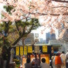 なんて贅沢な昼下がり