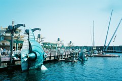 port discovery