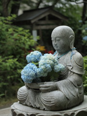 私の好きな花