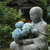 私の好きな花