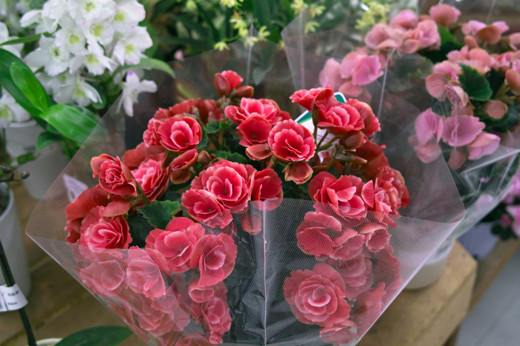花