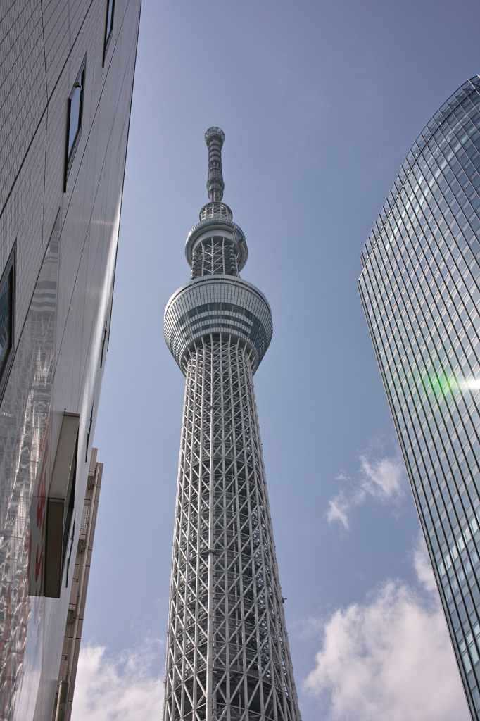 見上げれば