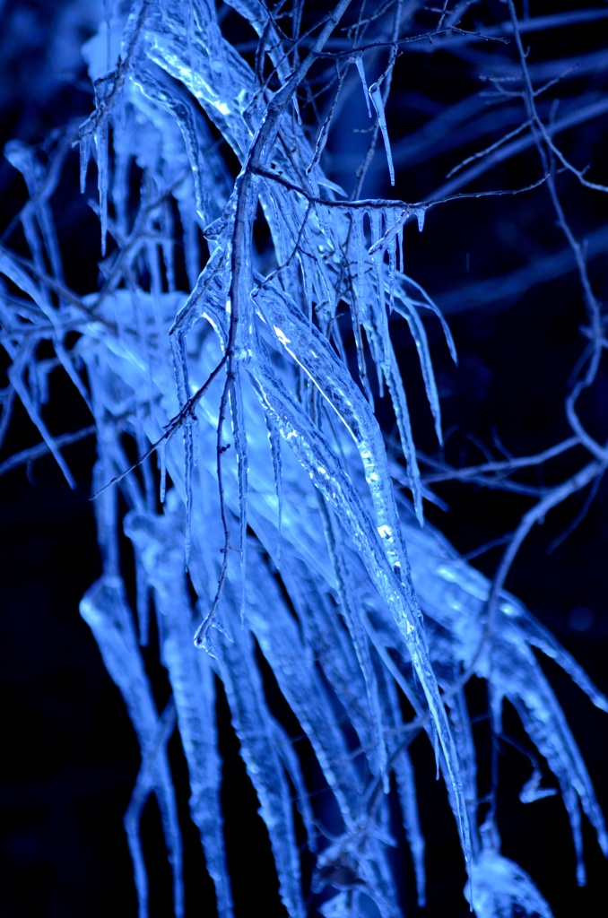DSC_5451