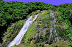 屋久島　大川の滝