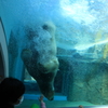 IMG_8027(1)