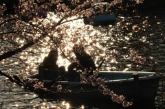 Sakulove