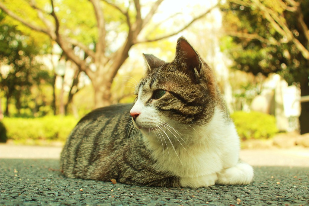 目線の先には・・・
