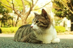 目線の先には・・・