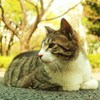 目線の先には・・・