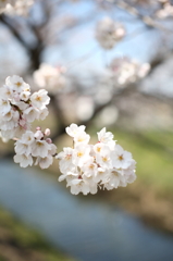DPP_0005
