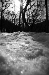 IMG_0062