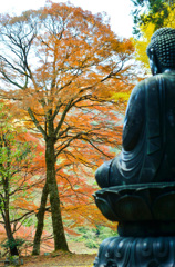 仏目線で紅葉
