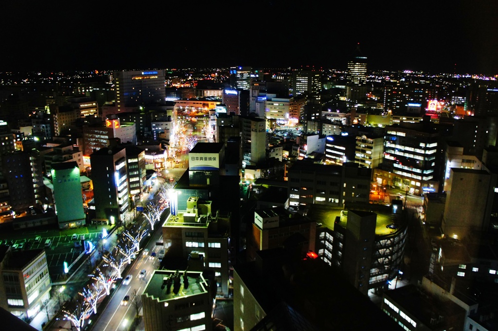 富山市役所？展望台