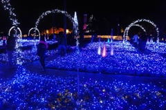 青LEDの絨毯