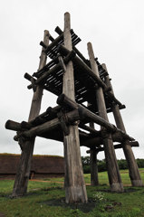 IMG_5173dpp2_pse1200