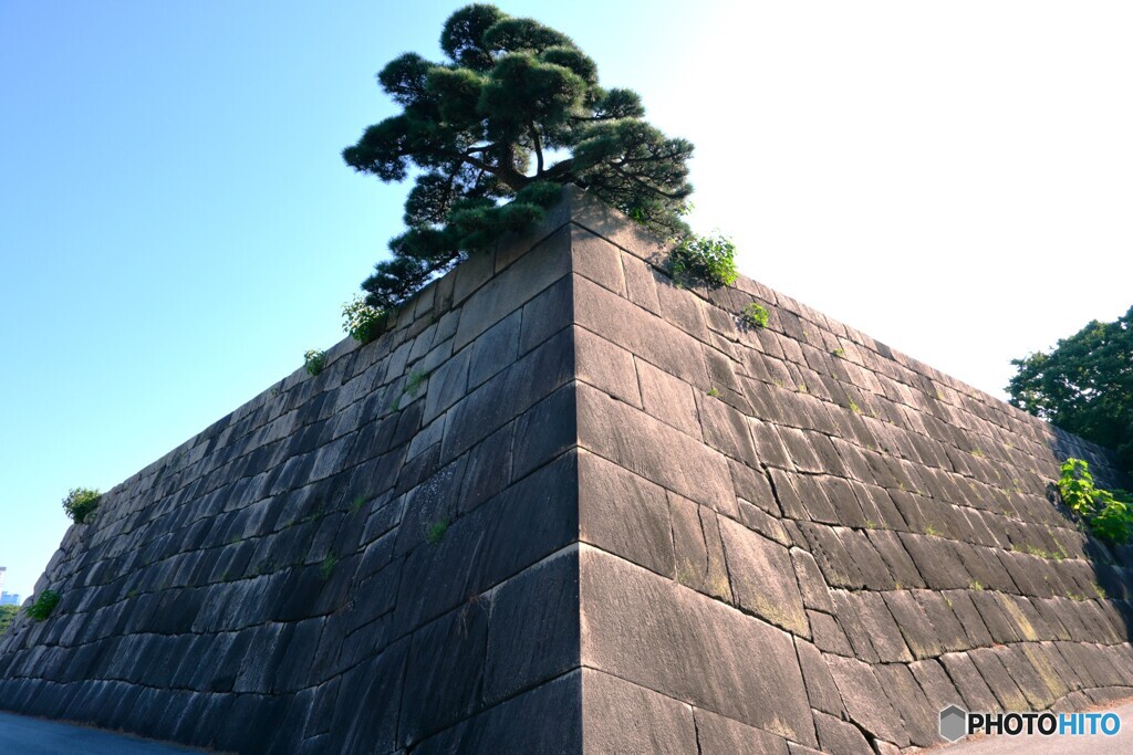 碧と白