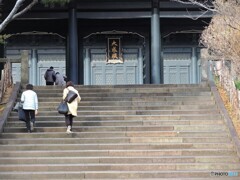 檸檬を投げたこと・・・あります？