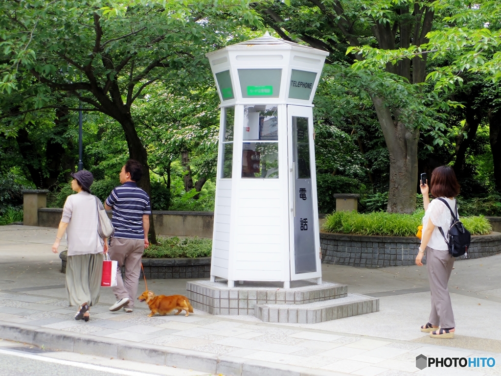 自動電話・・・