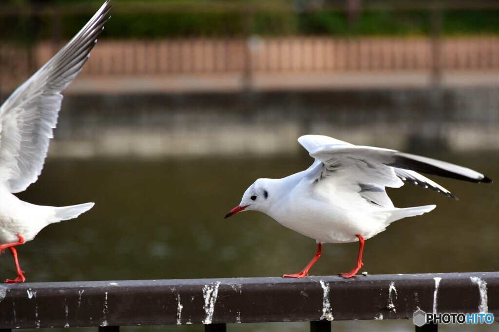 ・・・ニイタカヤマノボレ
