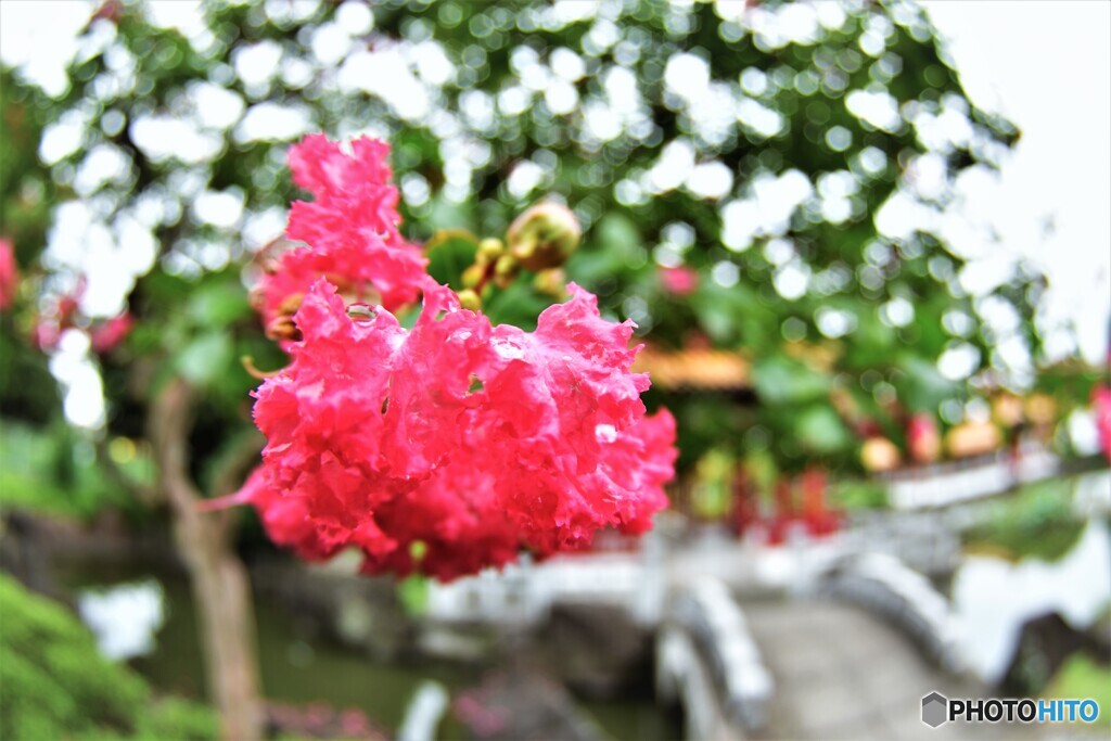 冷たい雨・・・