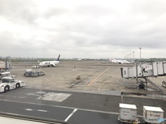 只今、羽田空港です