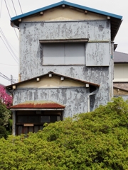IMGP0173