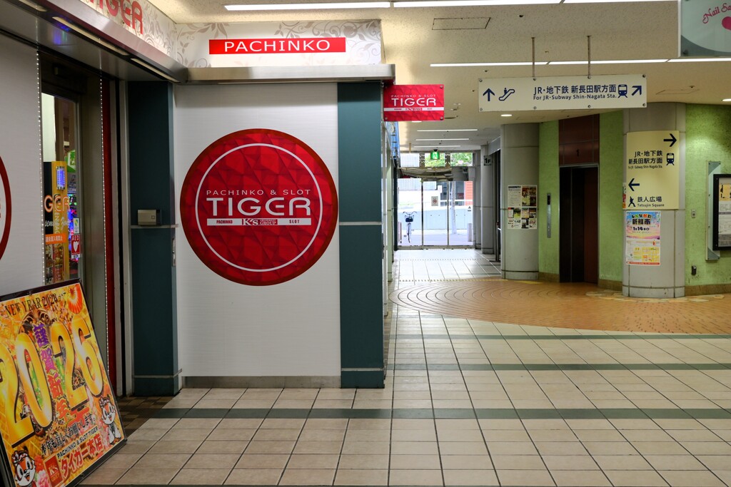 新長田でお写んpo（タイガー）