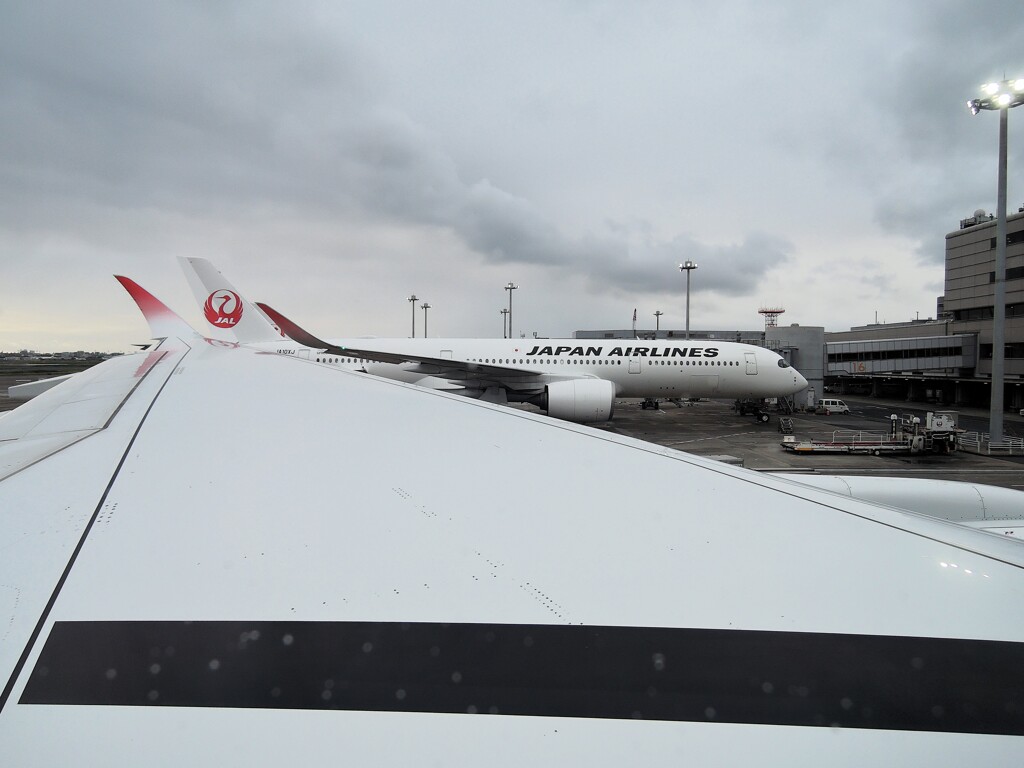 主翼