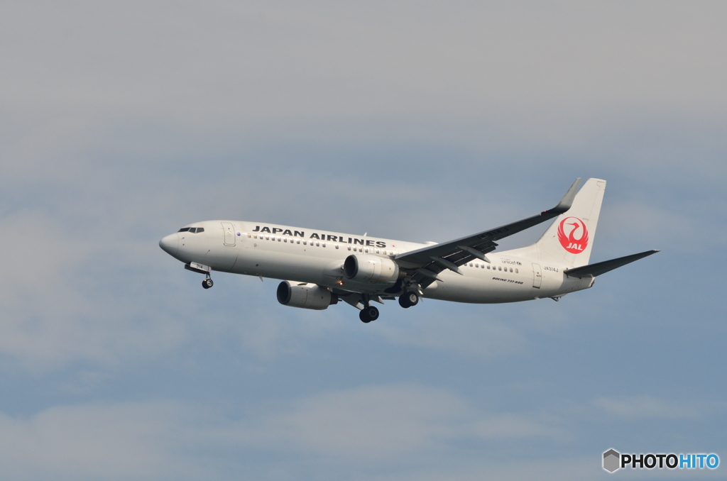 真面目に・・・JAL