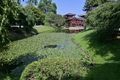 阿字池