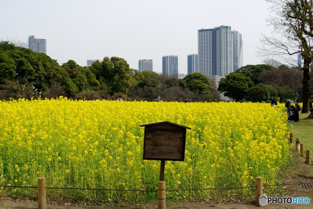 無記