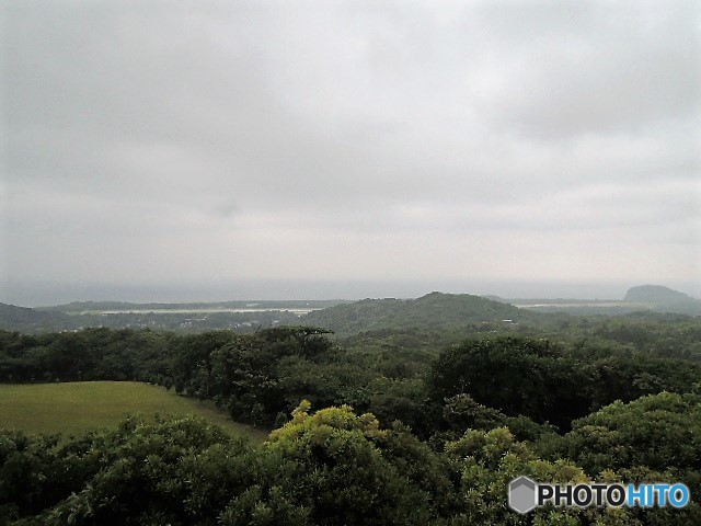 日曜どうでしょう・・・（大島空港）