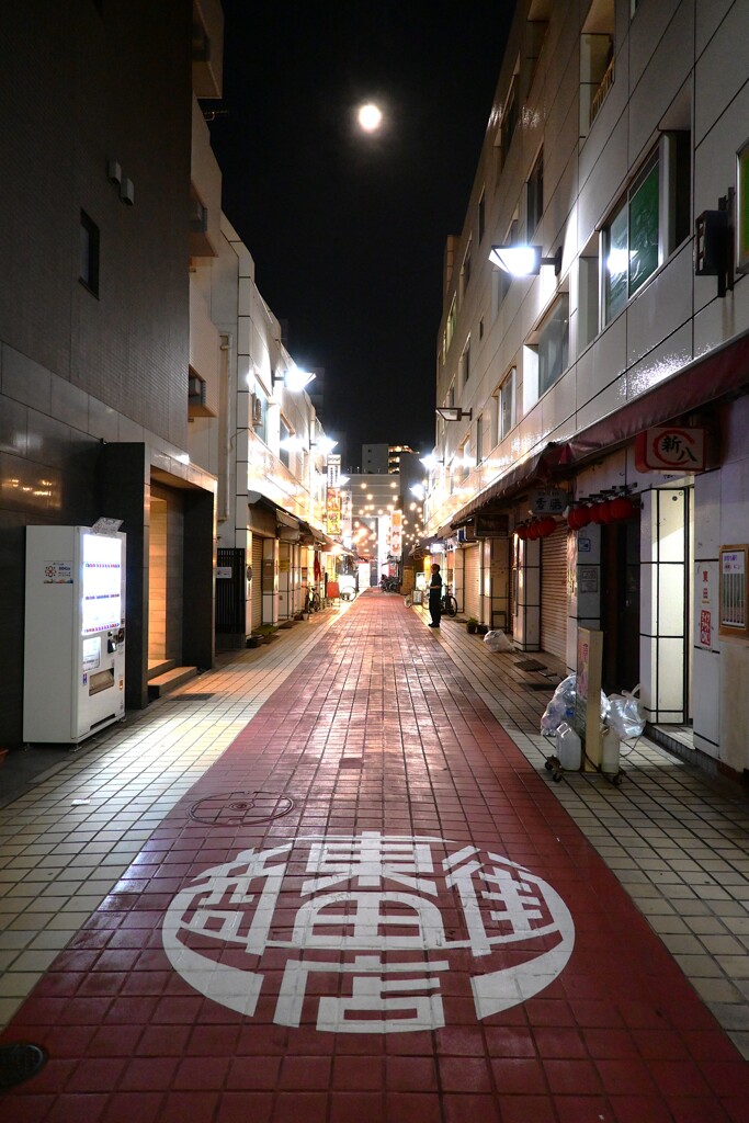 深夜散歩(路地編)