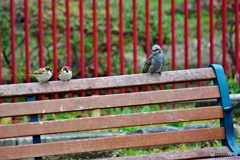 春のたたずまい・・・ベンチ編（その後）