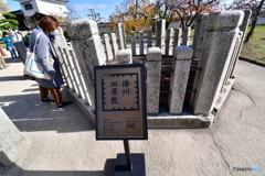 白鷺城・・・其の十いち