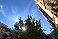 A blue sky and the sun