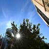 A blue sky and the sun