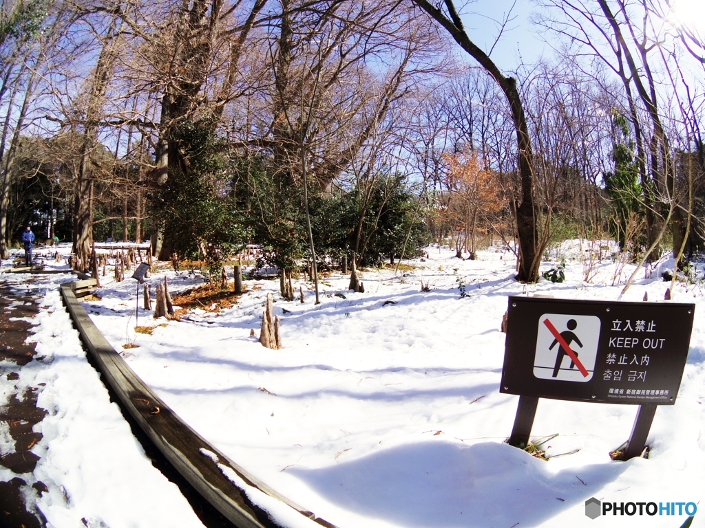あと、仏語、伊語、蘭語、西班牙語、葡萄牙語、香港語、、、、記載すべき？