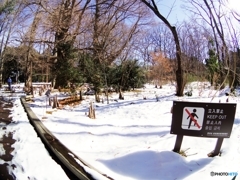 あと、仏語、伊語、蘭語、西班牙語、葡萄牙語、香港語、、、、記載すべき？