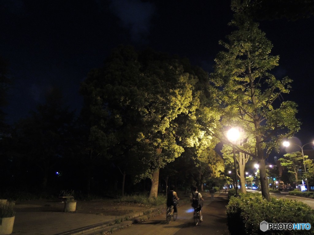 夜歩く・・・自転車