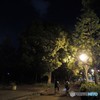夜歩く・・・自転車