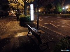 バス停で待つ君へ・・・
