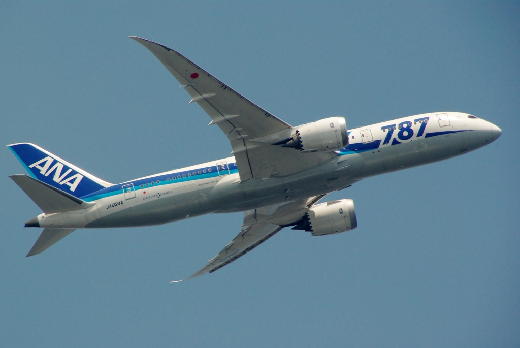 ANA 787