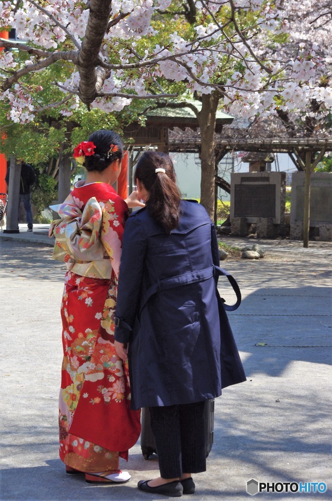 桜の樹の下で・・・