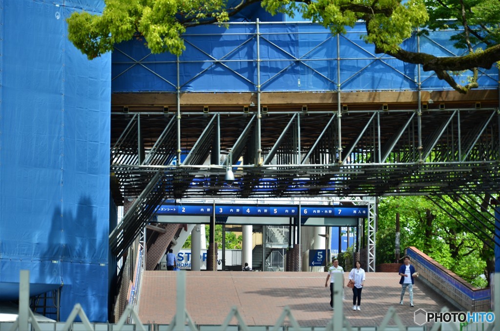 Yokohama　stadium