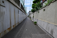 この道の先には・・・