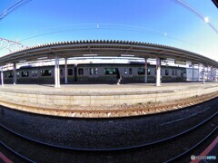 さんま　三枚おろしではなく・・・