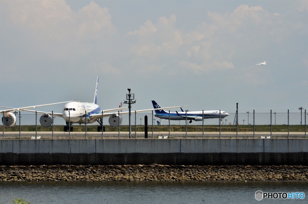 ここ、haneda